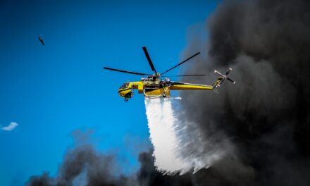 Προμελετημένο έγκλημα στον Κιθαιρώνα οι φωτιές έρχονται ανεμογεννήτριες