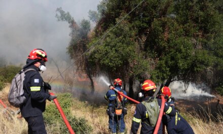 Φωτιά τώρα στη Μικρή Βίγλα της Ναξου