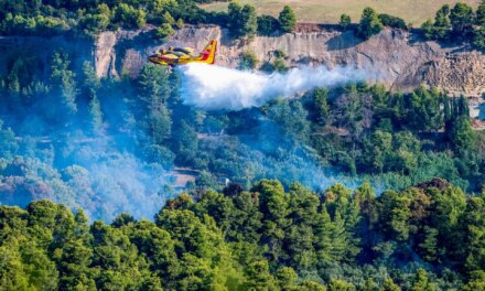 Φωτιά τώρα στο Μουζάκι Πύργου Ηλείας – Κινητοποιήθηκαν και εναέρια μέσα