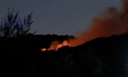 Σε εξέλιξη η πυρκαγιά σε αγροτοδασική έκταση στην περιοχή Νερατζιές
