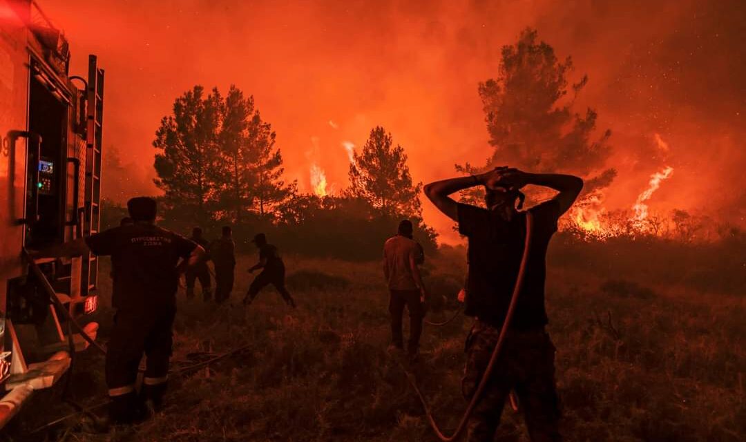Τα δάση καίγονται, αλλά σε ποιόν ανήκουν τα δάση;