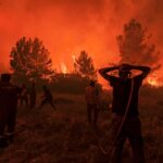 Τα δάση καίγονται, αλλά σε ποιόν ανήκουν τα δάση;