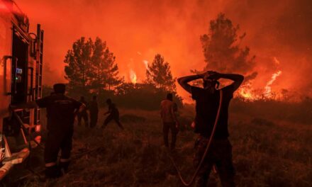 Τα δάση καίγονται, αλλά σε ποιόν ανήκουν τα δάση;