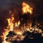 Φωτιά σε Αττικοβοιωτία: Ολονύχτια μάχη σε Ψάθα, Βένιζα και Άγιο Νεκτάριο, Αγία Παρασκευή