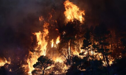 Φωτιά σε Αττικοβοιωτία: Ολονύχτια μάχη σε Ψάθα, Βένιζα και Άγιο Νεκτάριο, Αγία Παρασκευή