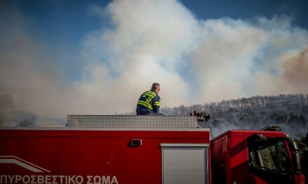 Πυρκαγιά στις Βολίμες Ζακύνθου: Εντολή απομάκρυνσης από Ελιές