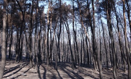 Η εξάπλωση της φωτιάς σε Κιθαιρώνα και Πόρτο Γερμενό