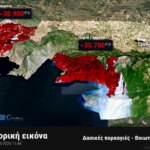 Πυρκαγιές σε Βοιωτία – Αττική: Πάνω από 65.000 καμένα στρέμματα, σύμφωνα με προκαταρκτική εκτίμηση