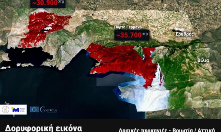 Πυρκαγιές σε Βοιωτία – Αττική: Πάνω από 65.000 καμένα στρέμματα, σύμφωνα με προκαταρκτική εκτίμηση