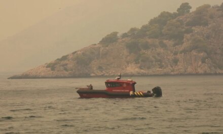 Ενισχύθηκαν περαιτέρω οι δυνάμεις της Πυροσβεστικής σε Βοιωτία και Πόρτο Γερμενό