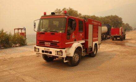 Φωτιά τώρα στην Καμηλόβρυση Φθιώτιδας