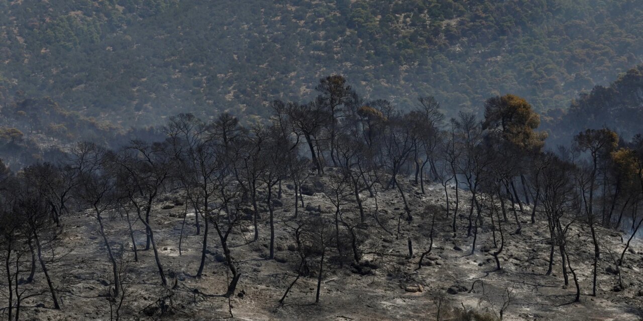 «Στάχτη» το 64% των δασών της Δυτικής Αττικής μέσα σε 10 χρόνια