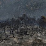 «Στάχτη» το 64% των δασών της Δυτικής Αττικής μέσα σε 10 χρόνια