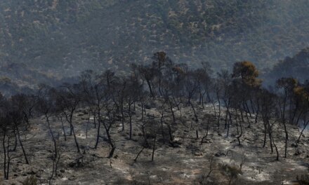 «Στάχτη» το 64% των δασών της Δυτικής Αττικής μέσα σε 10 χρόνια
