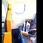 Σπασμένο εξάρτημα κινητήρα συνέτριψε το παράθυρο που «ρούφηξε» τον επιβάτη