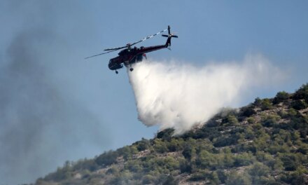 Συνελήφθη 35χρονος που άναψε ψησταριά με κατηγορία κινδύνου 4