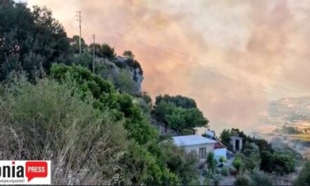 Φωτιά στην Κεφαλονιά: Ενισχύσεις σε πυροσβεστικές δυνάμεις