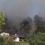 Πυρκαγιά στη Σίβηρη: Η πυρόφιλη χαλέπιος πεύκη αναγεννάται μετά τη φωτιά