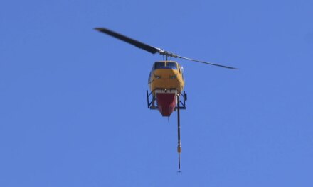 Θεσσαλονίκη: Πυρκαγιά ξανά στο Νέο Ρύσιο