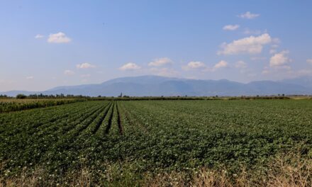Στα 53 εκατ. ευρώ ο προϋπολογισμός για την παροχή γεωργικών συμβουλών