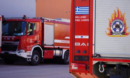 Φωτιά τώρα στην Παναγιά Σαγιάδας της Θεσπρωτίας -«Πέρασε» από την Αλβανία