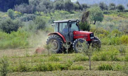 Αγροτικό πετρέλαιο: Άμεσα η επιστροφή ΕΦΚ και ΦΠΑ από την 1η Νοεμβρίου – Πώς θα λειτουργεί η ψηφιακή εφαρμογή της ΑΑΔΕ