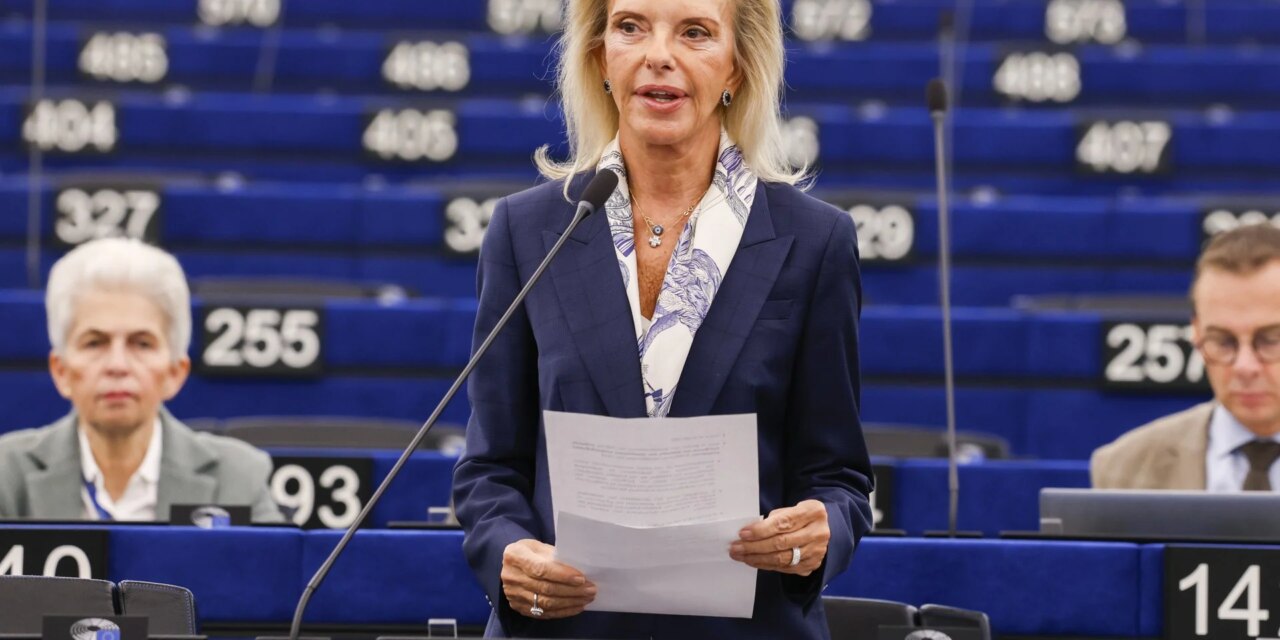 Τουρκολιβυκό Μνημόνιο: Παρέμβαση Βόζεμπεργκ στο Ευρωκοινοβούλιο