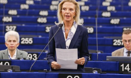 Τουρκολιβυκό Μνημόνιο: Παρέμβαση Βόζεμπεργκ στο Ευρωκοινοβούλιο
