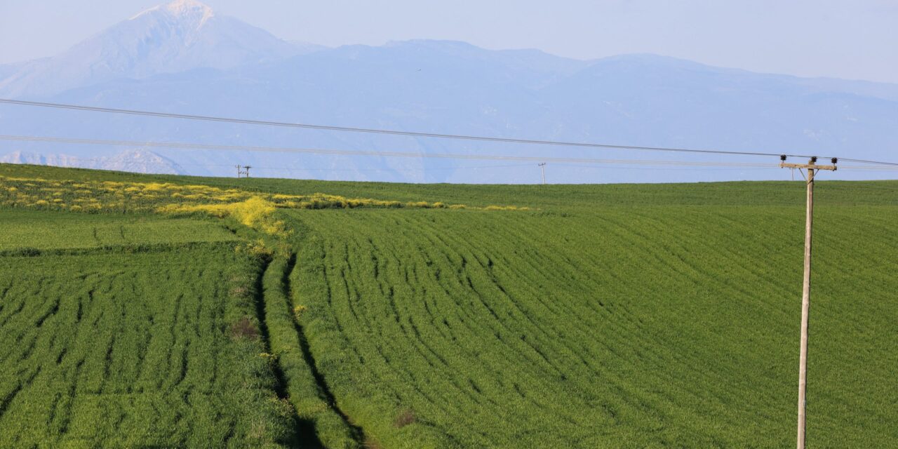 ΥΠΑΑΤ: 315 επενδυτικά σχέδια ύψους 329,6 εκατ. ευρώ στον εκσυγχρονισμό του πρωτογενούς τομέα μέσω του Ταμείου Ανάκαμψης