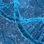 Για πρώτη φορά τροποποιήθηκε DNA απευθείας εντός του ανθρώπινου σώματος