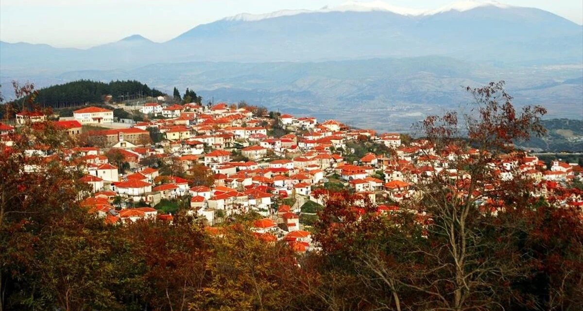 Το άγνωστο χωριό των Αντιχασίων και το μαγικό δάσος της Μαμαλής