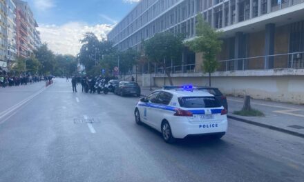 Καταδικάστηκε γυναίκα που χτύπησε γάτο με μεταλλικό κοντάρι σκούπας