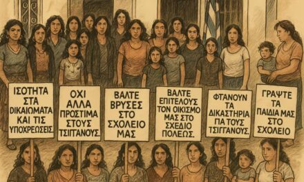Σαμπιχά Σουλεϊμάν: Έθεσε στον ΟΑΣΕ ερωτήματα για τον ρόλο της Τουρκίας στη Θράκη