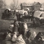 Δώδεκα μέρες στα χιόνια: Τα καραβάνια των ορφανών από τη Σεβάστεια